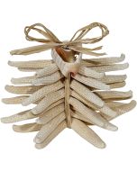 7315 - Finger Starfish Bundle w/ Cut Shell WHT 8pc 2-4"
