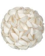 830108 - Ark Shell Orb 8"