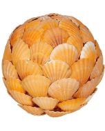 830406 - Orange Scallop Shell Flat Orb 6"