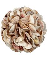 830608 - Mixed Pecten Shell Orb 8"
