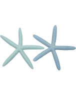 9091 - Dyed Pastel Finger Starfish 6-8"