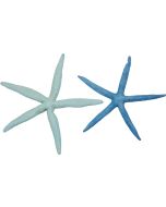 9092 - Dyed Pastel Finger Starfish 8-10"
