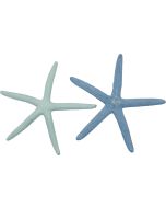 9094 - Dyed Pastel Finger Starfish 2-4"