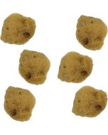 9159 - Bleached Sponge 1.5-2"