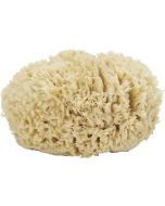 9526 - Sea Wool Form Sponge 5-6"