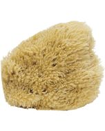 9594 - Gulf Cut Sponge 5-6"